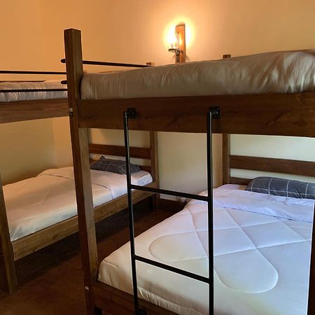 Mad Vervet Nairobi Backpackers Hostel Zewnętrze zdjęcie