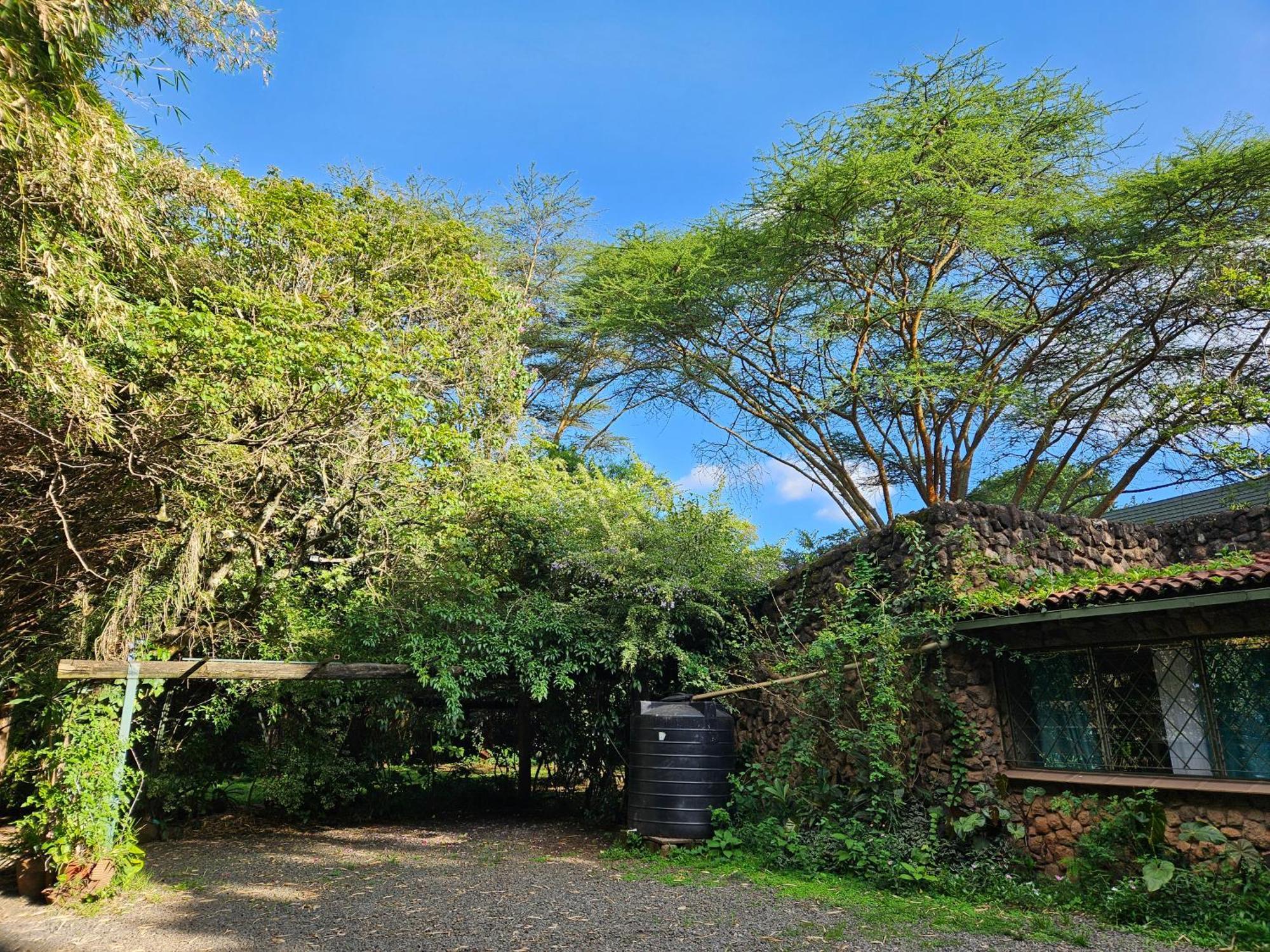 Mad Vervet Nairobi Backpackers Hostel Zewnętrze zdjęcie